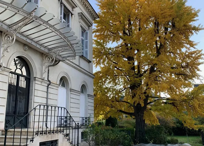 A L\'Abri Du Ginkgo