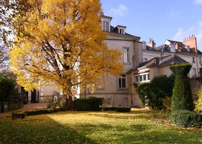 A L\'Abri Du Ginkgo