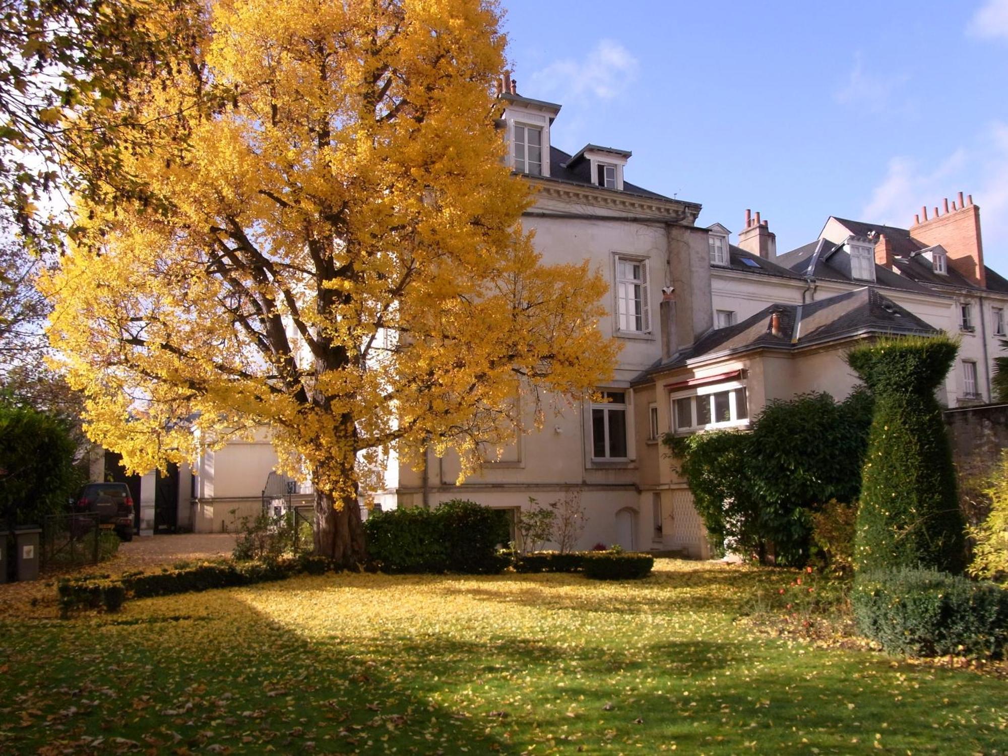 A L'abri Du Ginkgo Apartment *